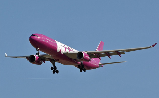 Wow Air - Airbus A330-300 (EC-MIN)